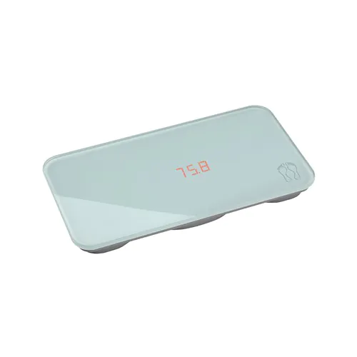 Scale REFLECTS-NAVOJOA Scale REFLECTS-NAVOJOA