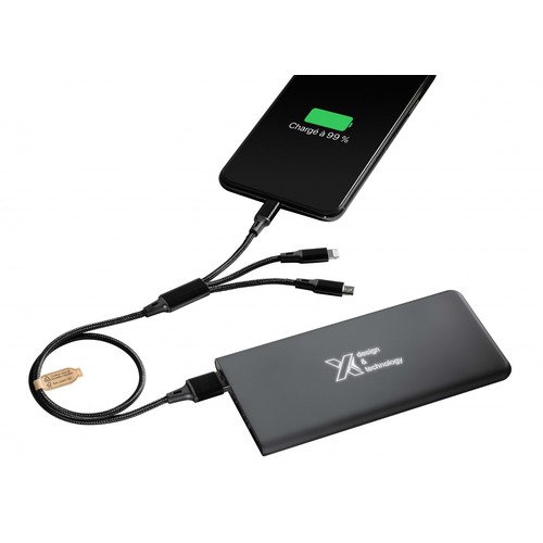 powerbank