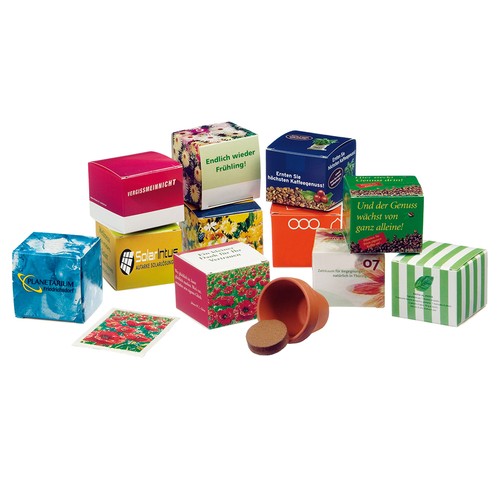 Cube de graines promotionnel (papier d'herbe) - Marguerite