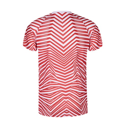 Adult T-Shirt Tecnic Tingyi