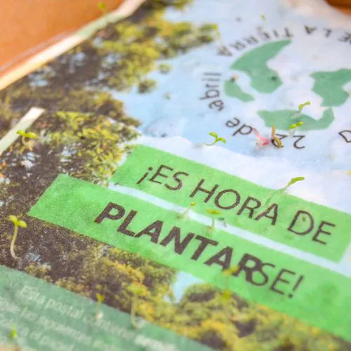 American format American format