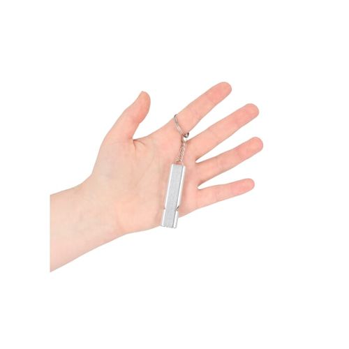 Whistle for Emergency Situation