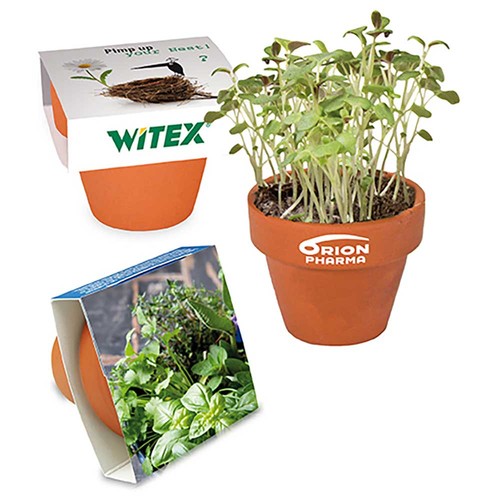 Mini pot terre cuite avec graines - Mélange d'herbes aromatiques
