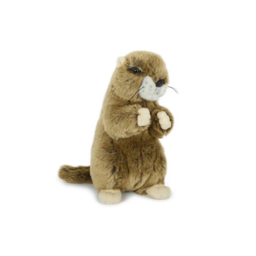 stuffed toy