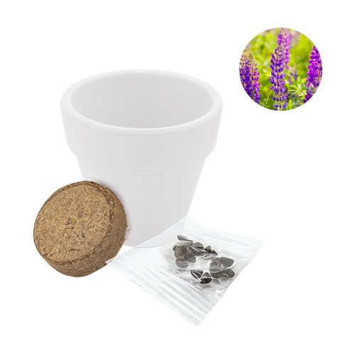 Bicolored jar, supplied with cultivation substrate Gelso Bicolored jar, supplied with cultivation substrate Gelso