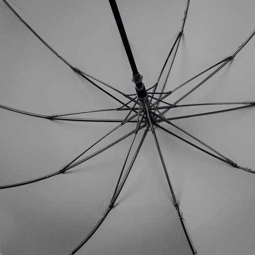 parasol
