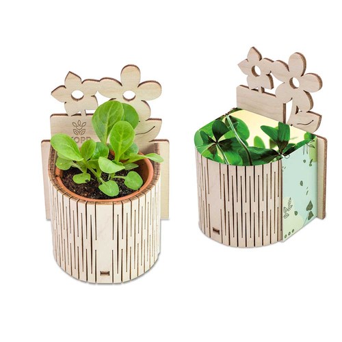 My Tiny Garden - Flower - Four-leaf clover My Tiny Garden - Flower - Four-leaf clover