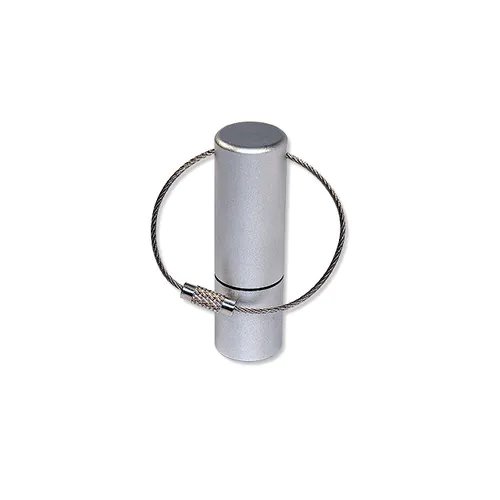 Clé USB E50 USB 2.0 Flash Disk 4 Go Argent Clé USB E50 USB 2.0 Flash Disk 4 Go Argent