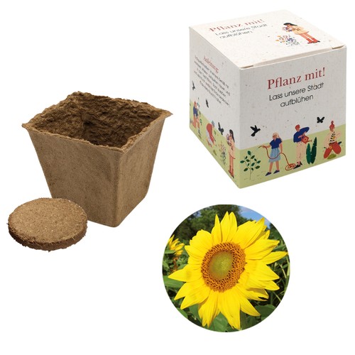 Cube-plantset (groot) - Zonnebloem Cube-plantset (groot) - Zonnebloem
