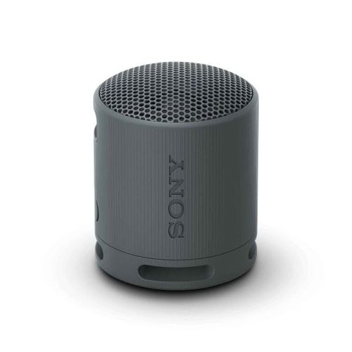 Sony Bluetooth Speaker SRS-XB100