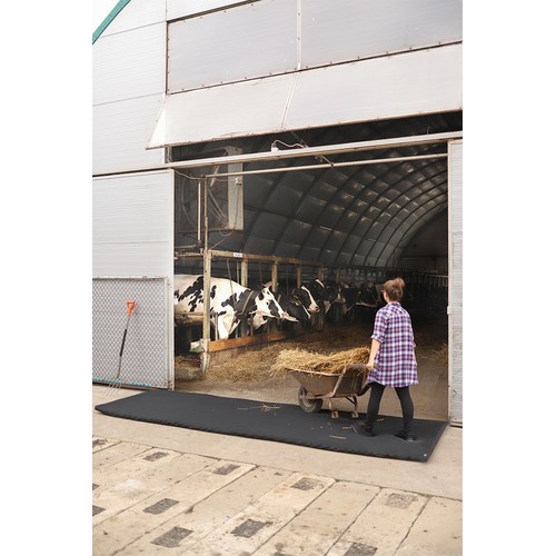 Tappetino calpestabile disinfettante 120x500x4cm