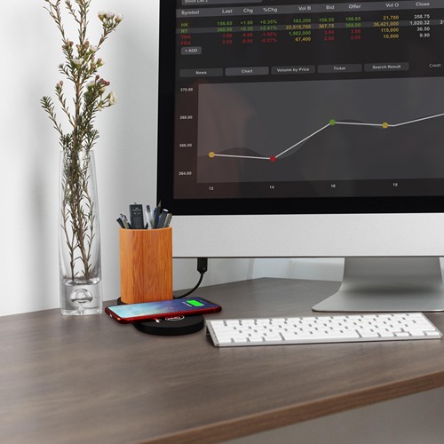 10W charging base and desktop air filtering plant 10W charging base and desktop air filtering plant