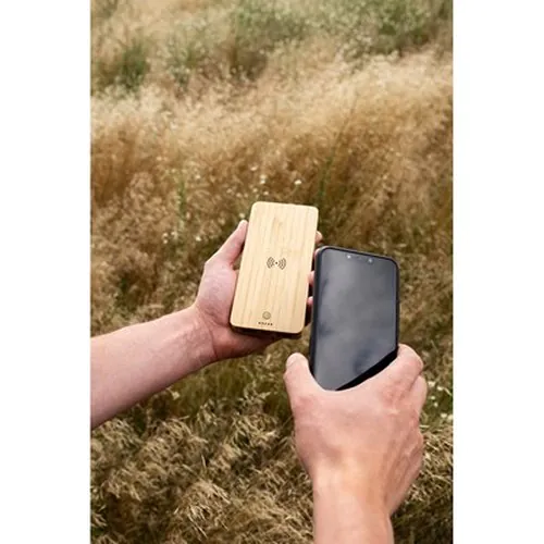 powerbank powerbank