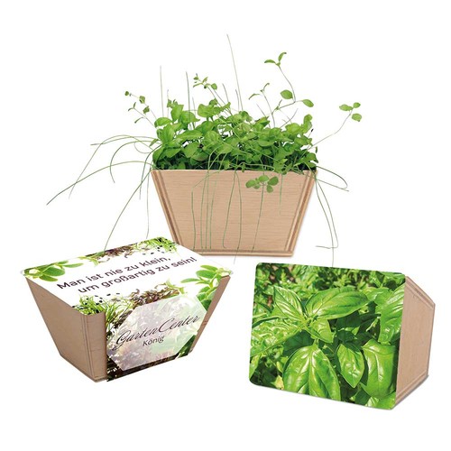 Mini-jardinière bois avec graines - Basilic Mini-jardinière bois avec graines - Basilic
