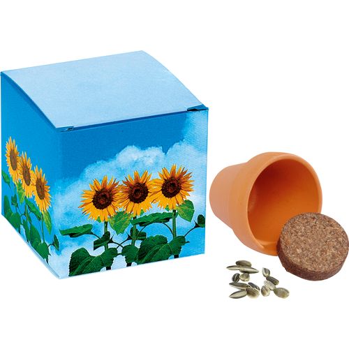 Cube Soleil Cube Soleil