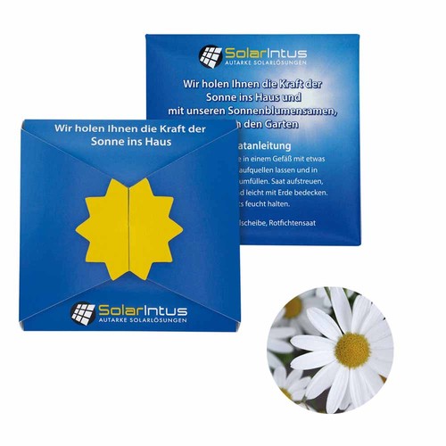 Closure – Star Seed Card - Oxeye daisy Closure – Star Seed Card - Oxeye daisy