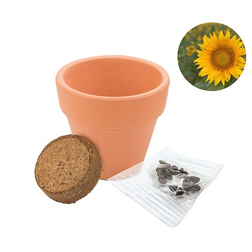 Clay pot with seeds Crespadoro