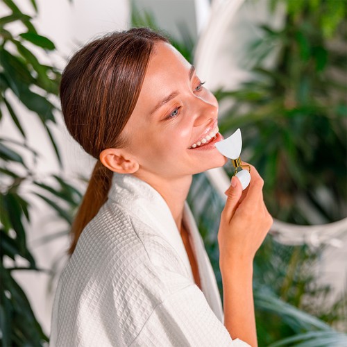 Face Massager Herbiax