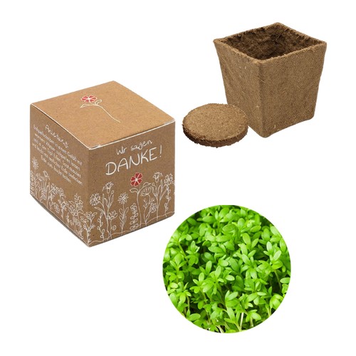 Cube-plantset (klein) - Kers