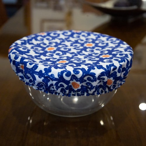 CUSTOMIZABLE DISH COVER