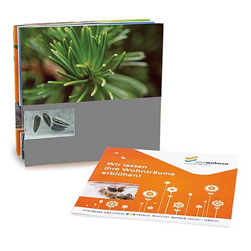 Carte avec graines - Epicéa Carte avec graines - Epicéa