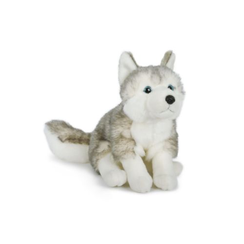 peluche