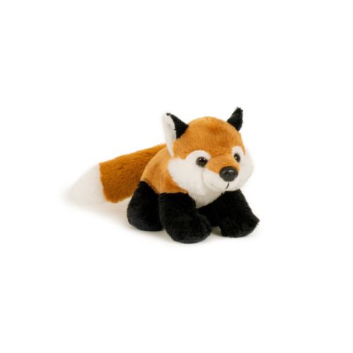 "SEMO-Newbies" Fuchs "SEMO-Newbies" Fuchs