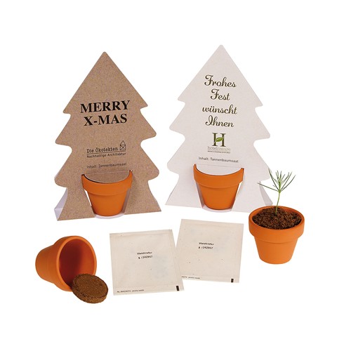 Tiny Tree - Kit de montage - Épicéa commun