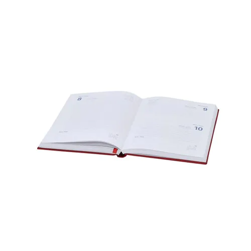 Diary Canek