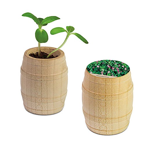 Mini-tonneau en bois avec graines - Trèfle persan Mini-tonneau en bois avec graines - Trèfle persan