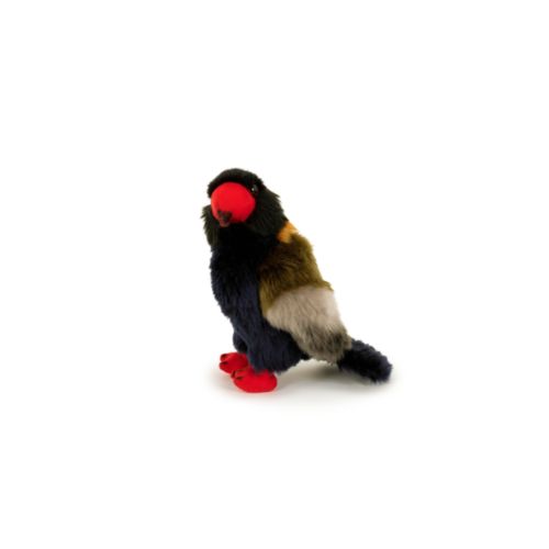 Peluche Peluche