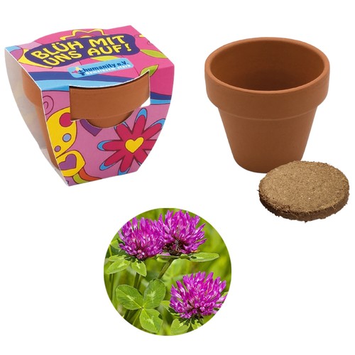 Small terracotta plant pots - Meadow clover