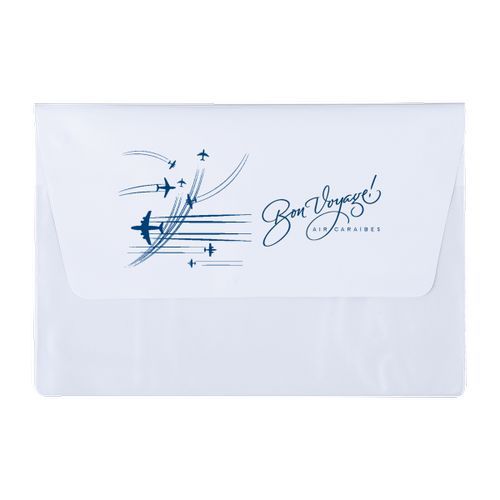 POCHETTE VOYAGE 2 P PVC STD POCHETTE VOYAGE 2 P PVC STD