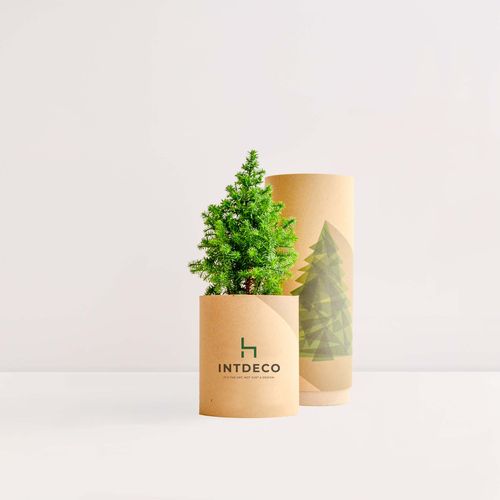 TREETUBE albero/arbusto TREETUBE albero/arbusto