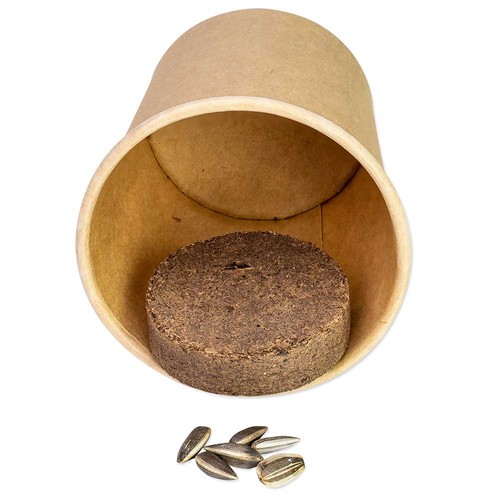 Plant-cube 2.0 with seeds - Christmas - Basil