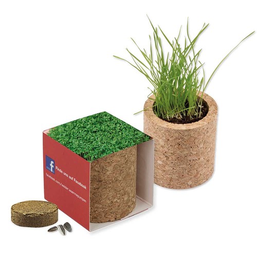 Pot rond en liège avec graines - Cresson de jardin