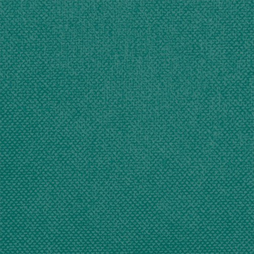 Mantel desechable individual HOSTEX