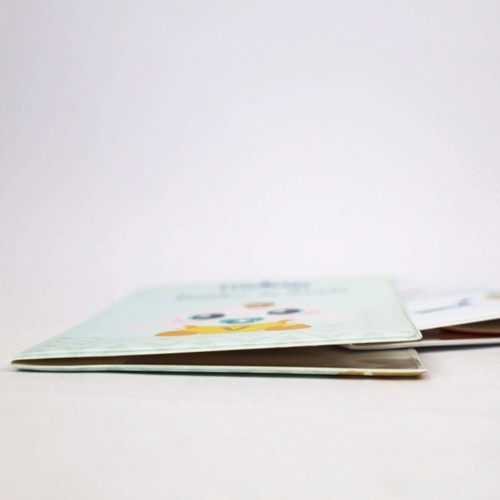 CUSTOMIZABLE VACCINE BULLETIN HOLDER C/MS