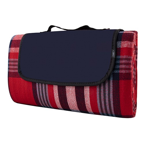 Family size picnic blanket Simba