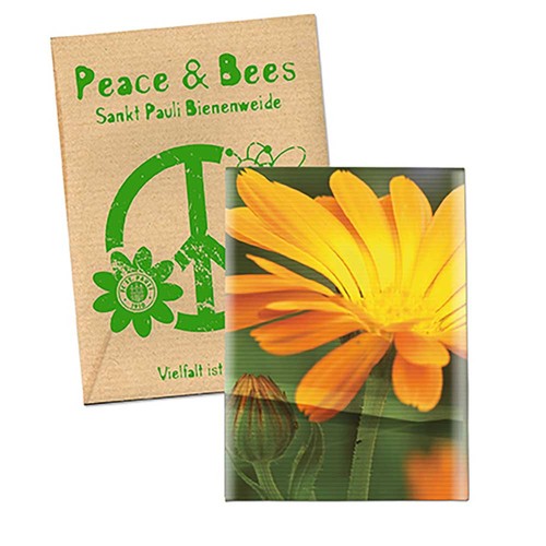 Zaadzakjes standaard papier - Soda kraftpapier - Goudsbloem