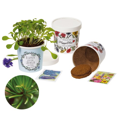 Cup Flower - zaadset - Fijnspar