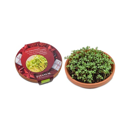 Bol de vitamines - Cresson