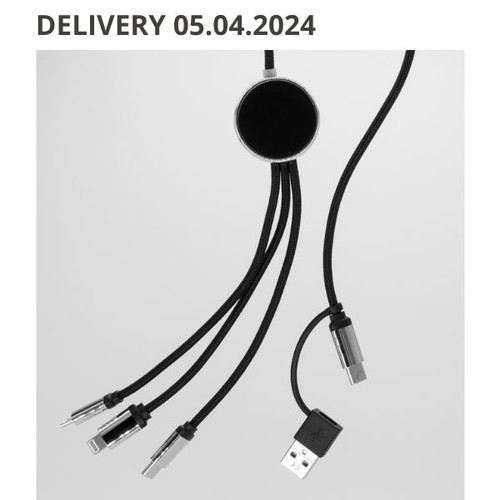 4IN1 LONG CABLE WITH ELIGHTED LOGO FOR ENGRAVING