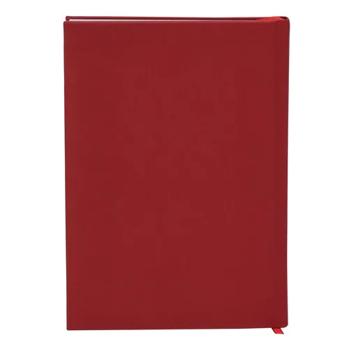 Diary Canek