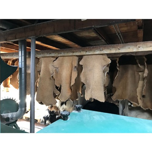 chłodnica chłodnica