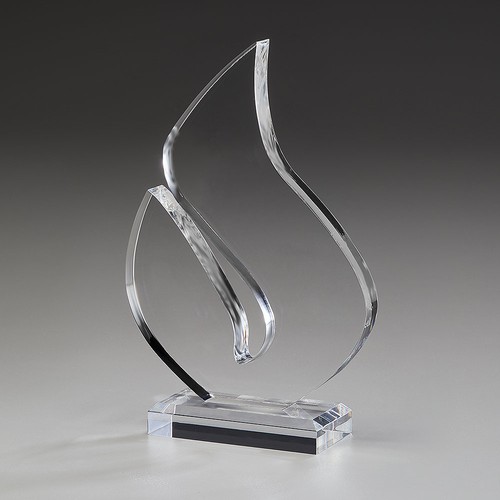 Brilliance Award Brilliance Award