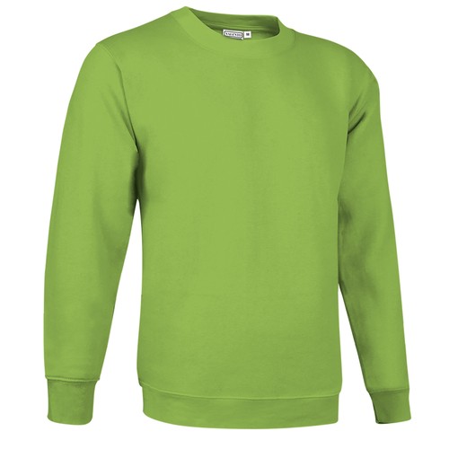 bluza