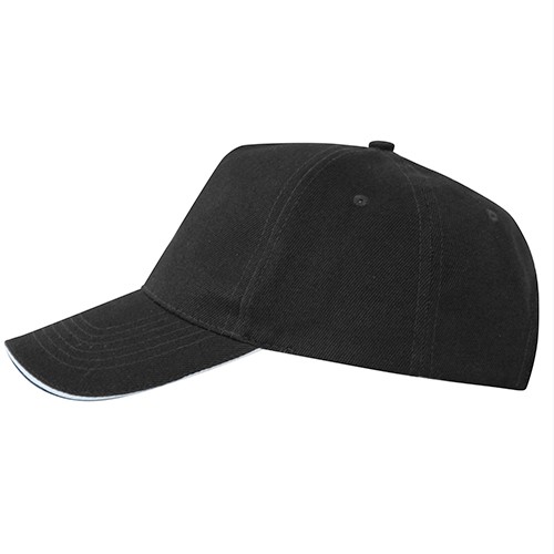 5 panels cap. ERIS