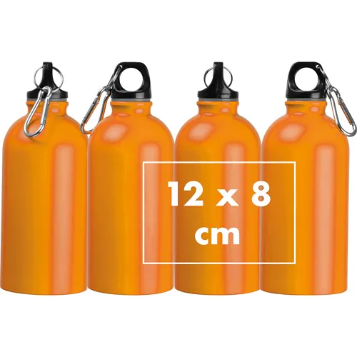 Bouteille en acier inoxydable New York