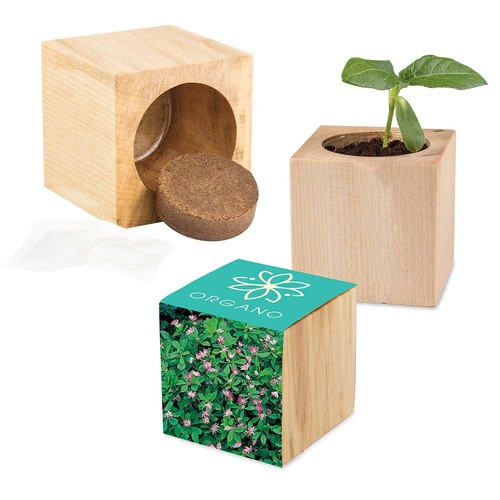 Houten plantenset Maxi met zaden - Persisch Klaver Houten plantenset Maxi met zaden - Persisch Klaver
